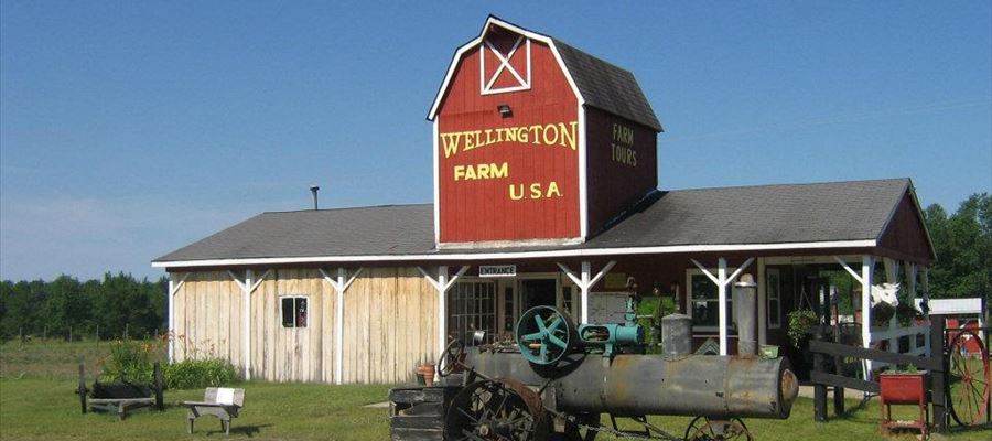 Wellington Farm Wellington Farm